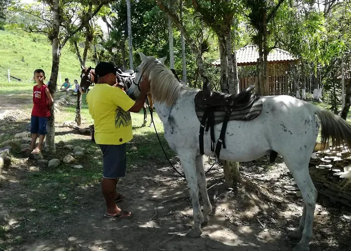 Recanto Da Mata